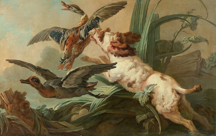 Barbet chassant le canard sauvage toile de Jean Baptiste Huet 1745 a 1811.